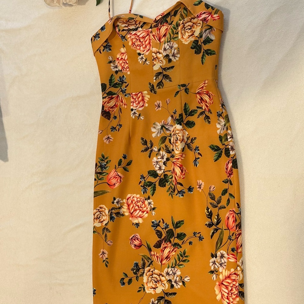 NWT. Sz. 6 Anthropologie Black Halo Floral Midi Dress.